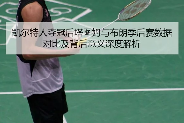 凯尔特人夺冠后塔图姆与布朗季后赛数据对比及背后意义深度解析