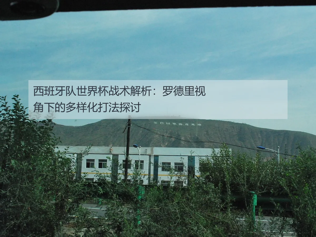 西班牙队世界杯战术解析:罗德里视角下的多样化打法探讨